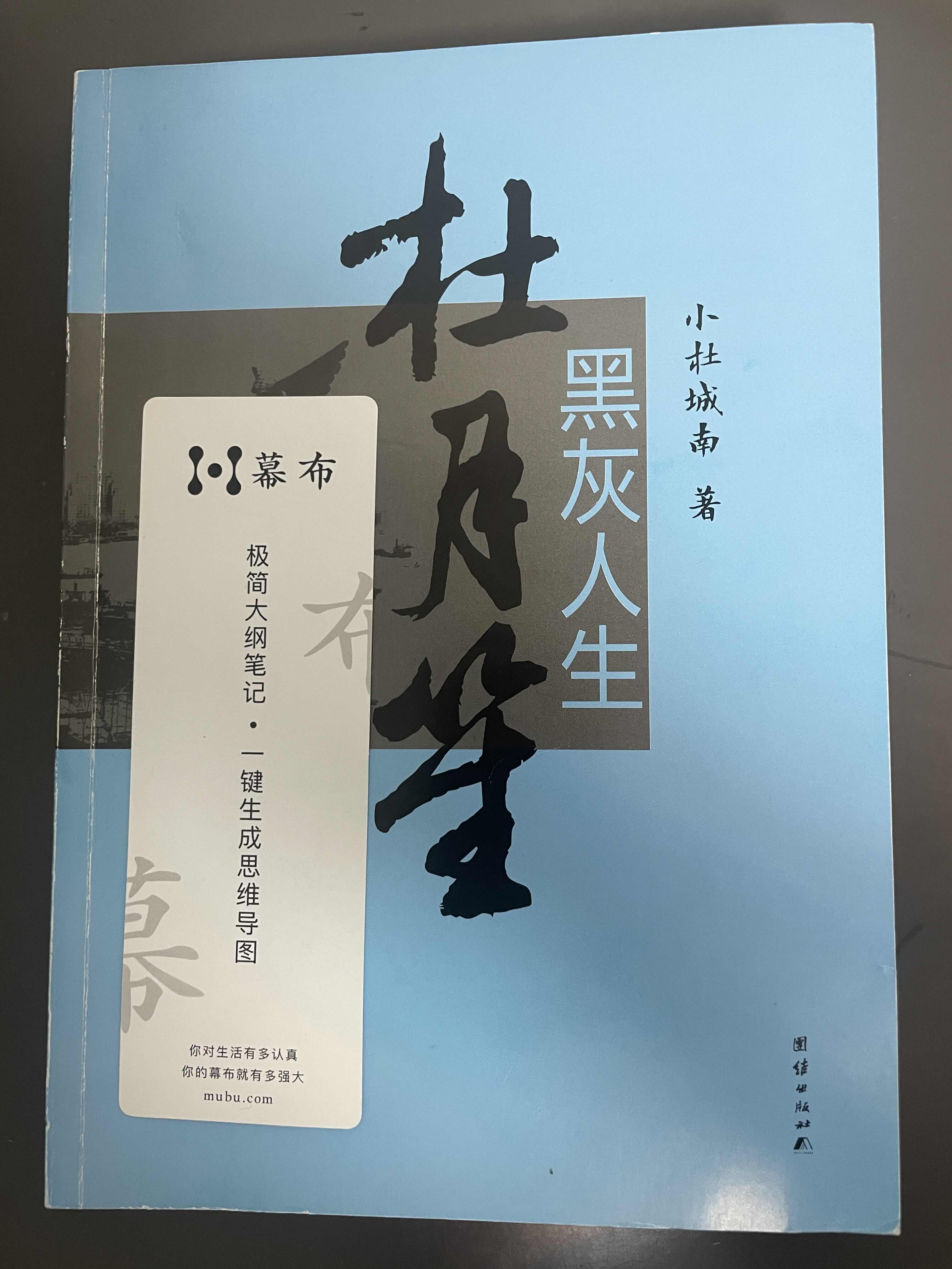 《杜月笙的黑灰人生》